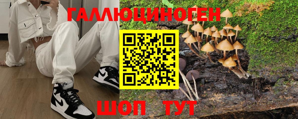 Псилоцибиновые грибы GOLDEN TEACHER  Вход с VPN  Курчалой 