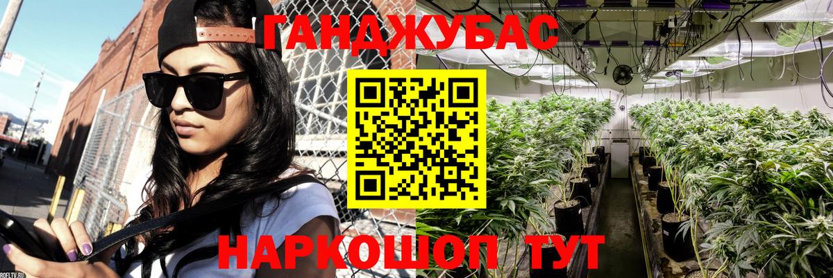 Каннабис планчик Курчалой